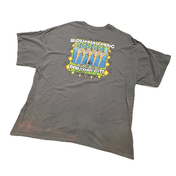 Widespread Panic Earth to America Vintage 06 Concert Radio City 2X Rare! - Picture 11 of 14